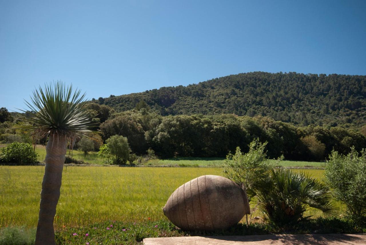 Hort Den Gelos Campanet Mallorca *