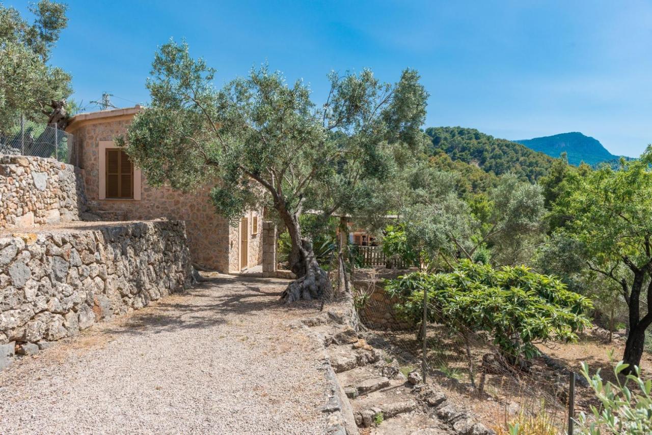 Villa Tamany *
