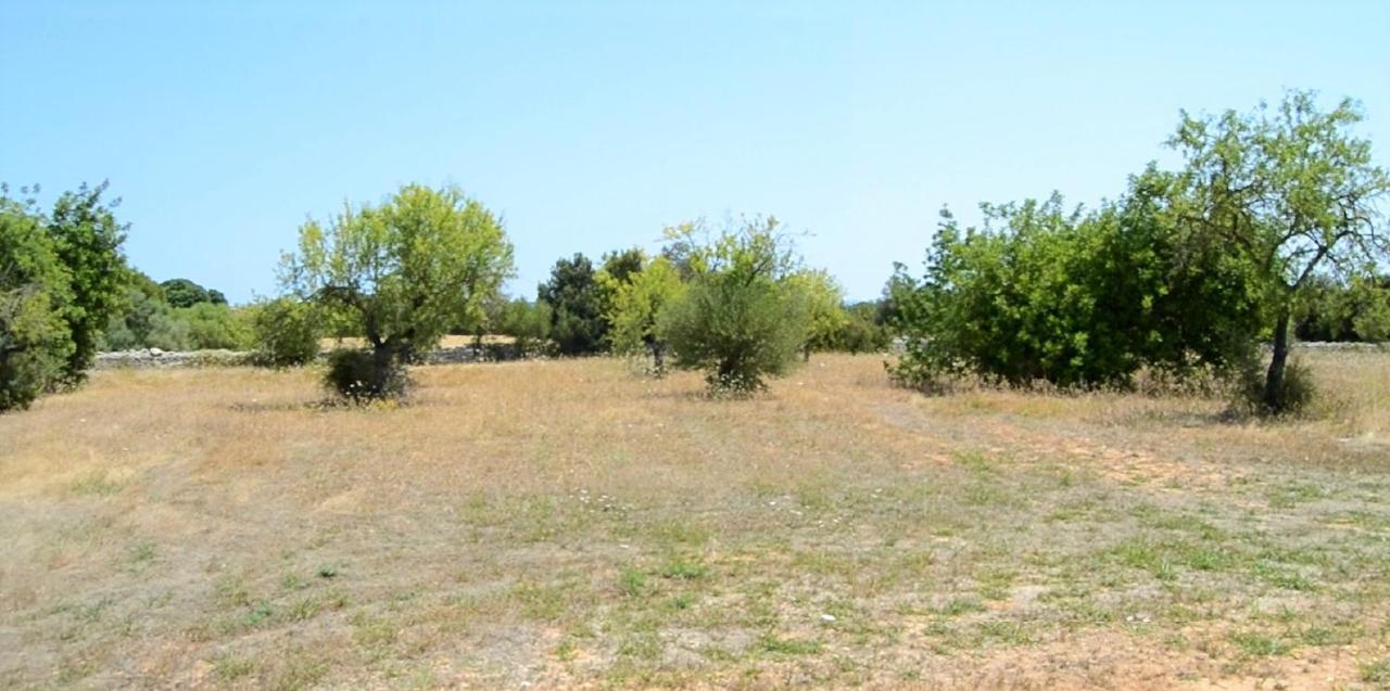 137 Son Bernat Etv9442 By Mallorca Charme Holiday home