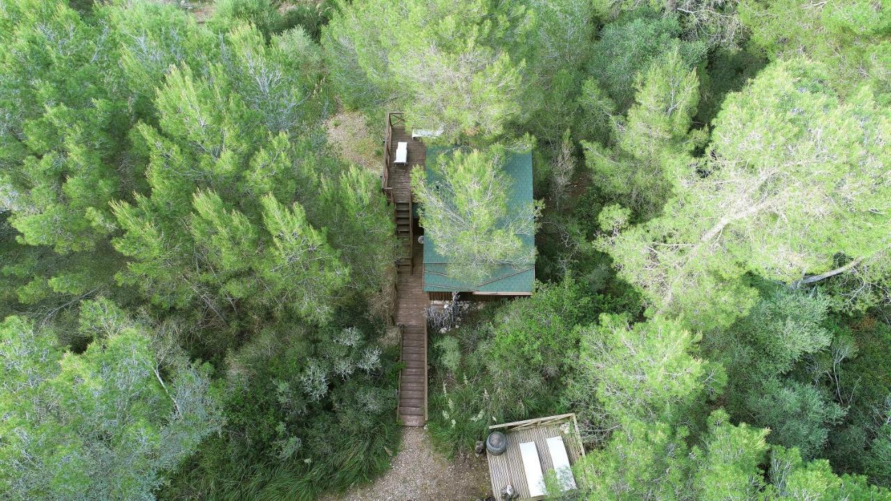 Serra Llevant Lodge *