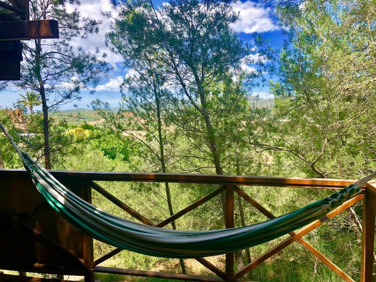 Serra Llevant Lodge *