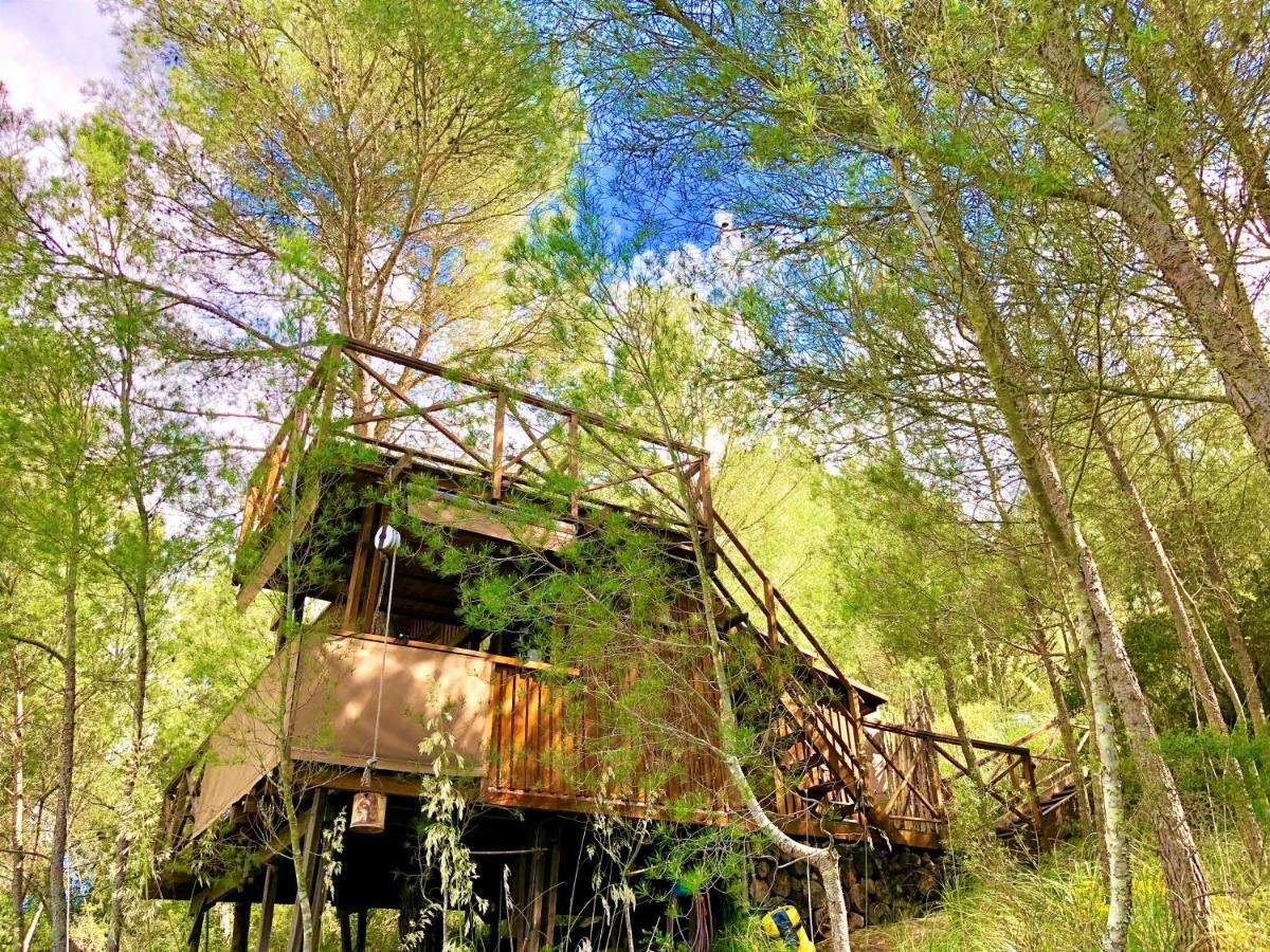 Lodge Serra Llevant *