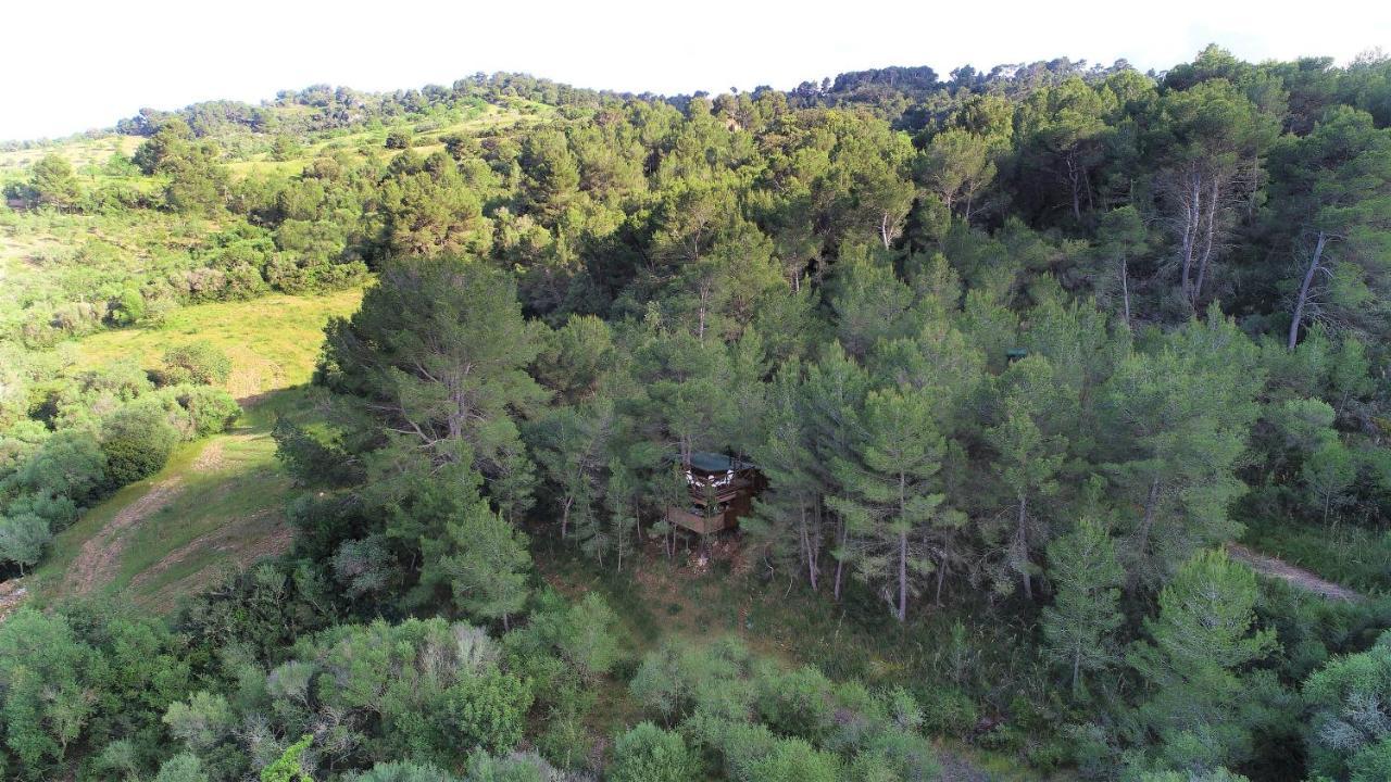 Lodge Serra Llevant