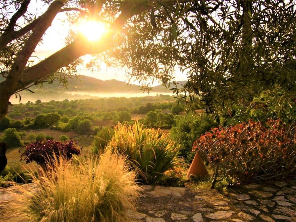 Lodge Serra Llevant *