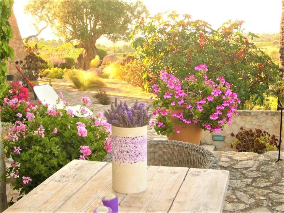 Lodge Serra Llevant