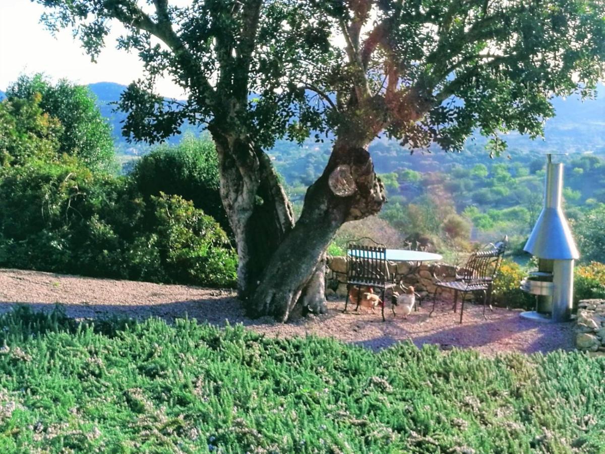 Lodge Serra Llevant *