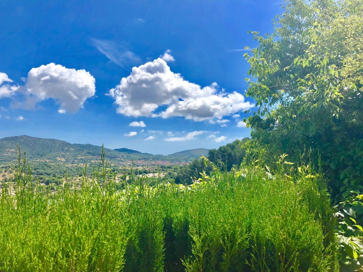 Serra Llevant * Son Macià