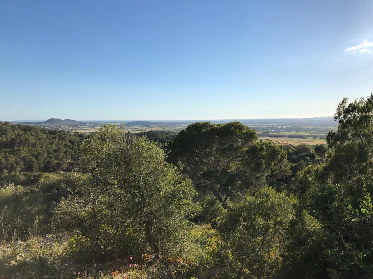 Lodge Serra Llevant
