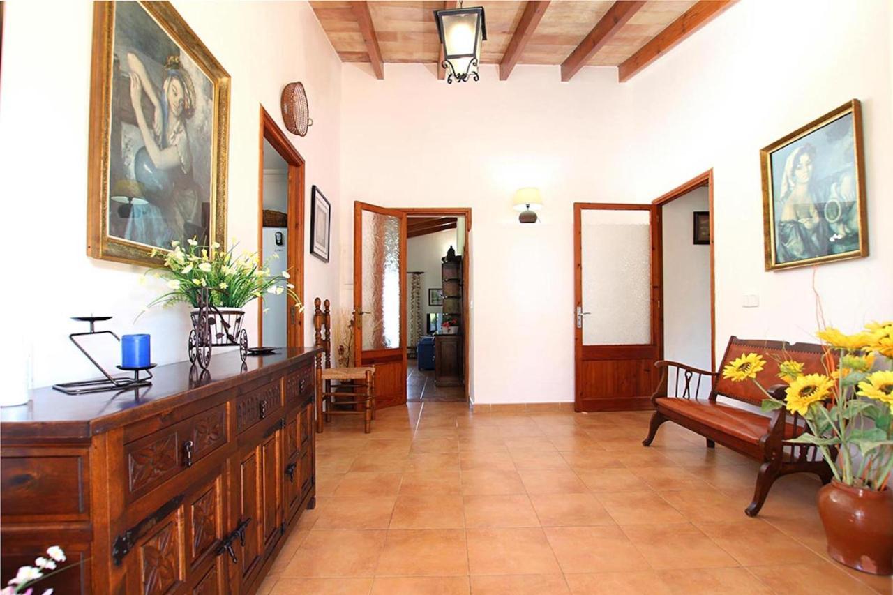 Bosque Villa Pollensa