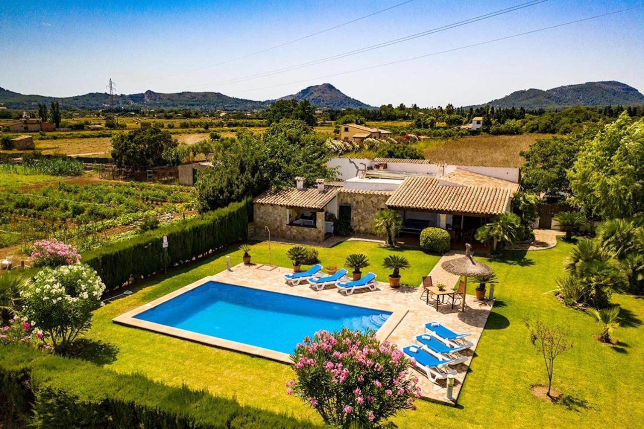 Bosque Villa Pollensa