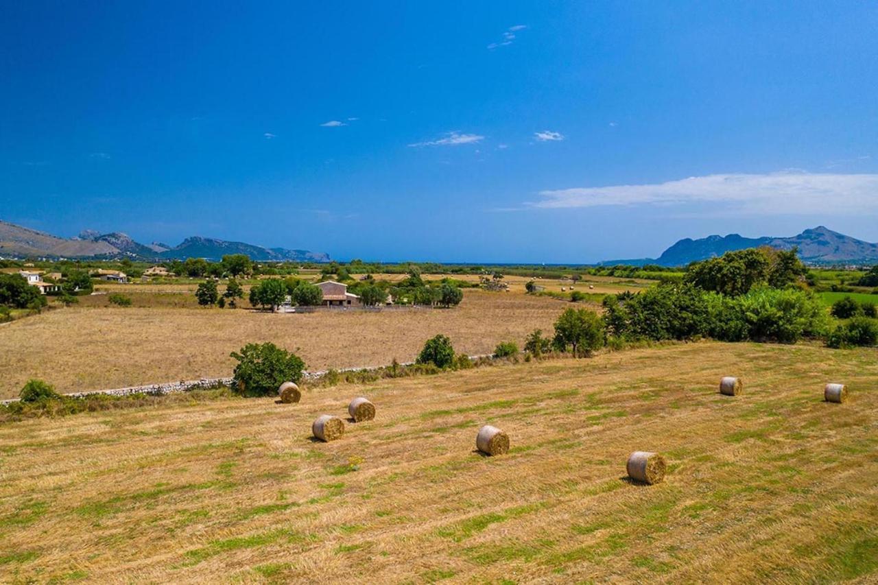 Bosque Pollensa
