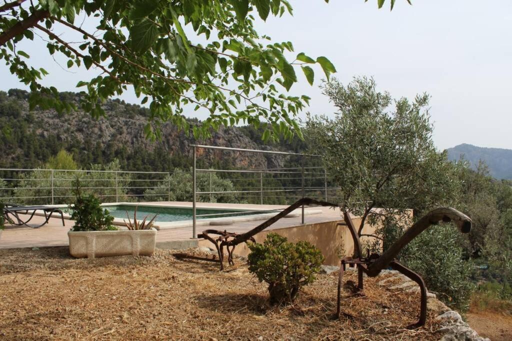 Olivar De S'heretat Trekking/ruta Gr-221 Apartamento Sóller