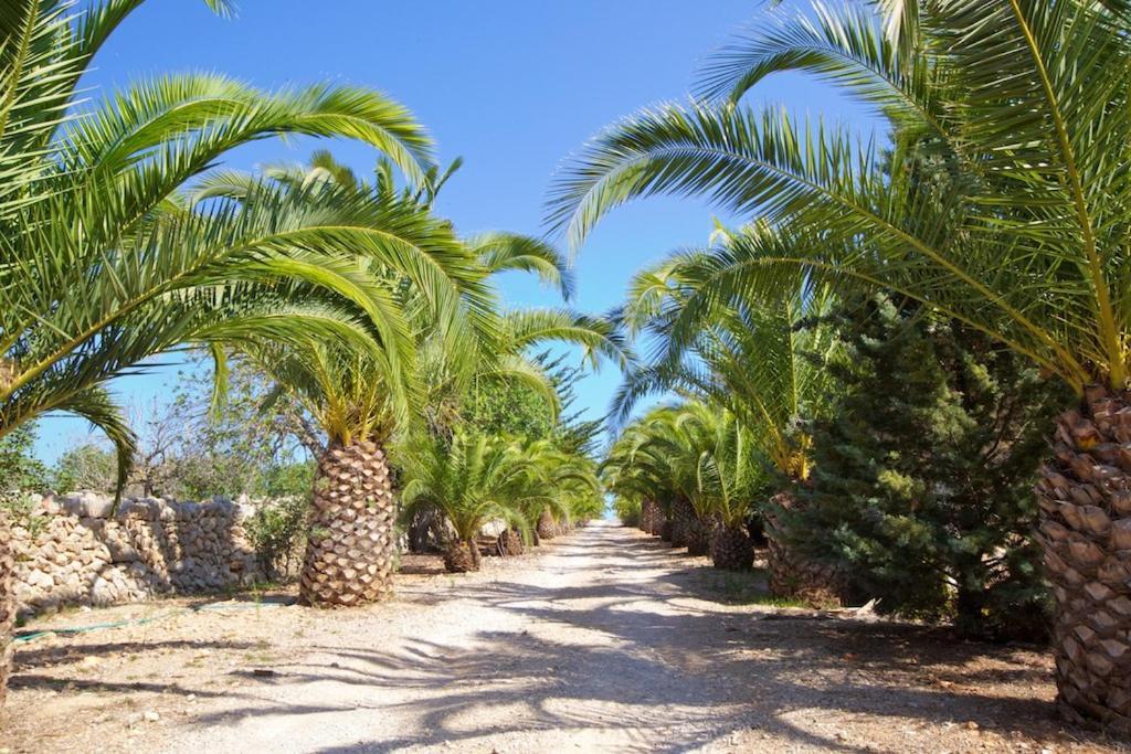 Country house Agroturismo Saigo Portocolom (Mallorca)