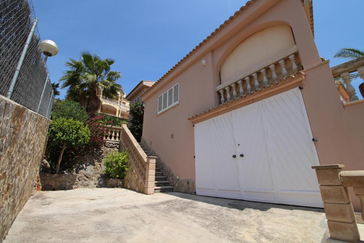 Ensueño D´aucanada Alcúdia