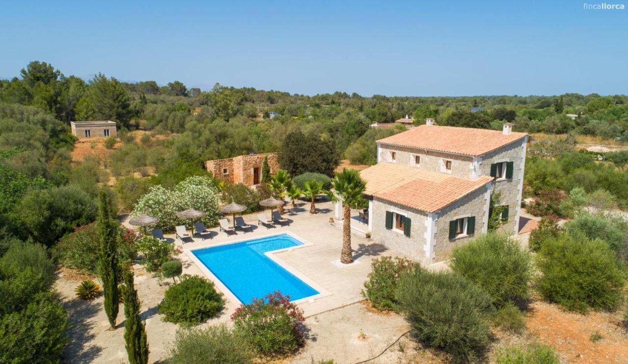 Sa Cantera Villa Algaida (Mallorca)