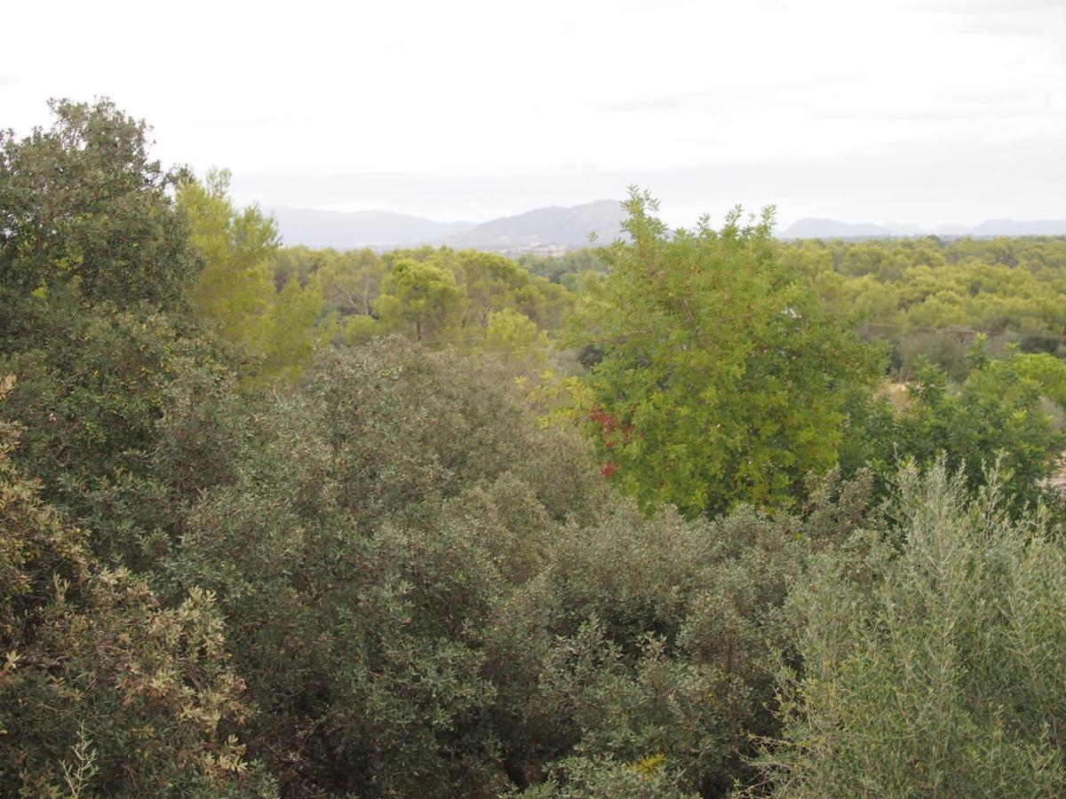 Villa S' Alzina Sencelles