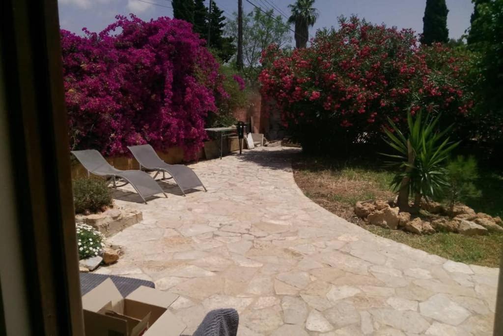 Mi Casita * Plamanyola