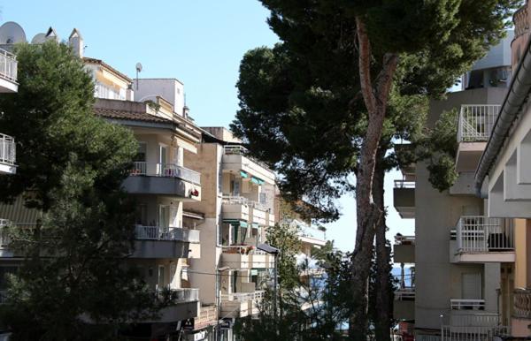 Apartamento Calamilloraptm2 Cala Millor (Mallorca)