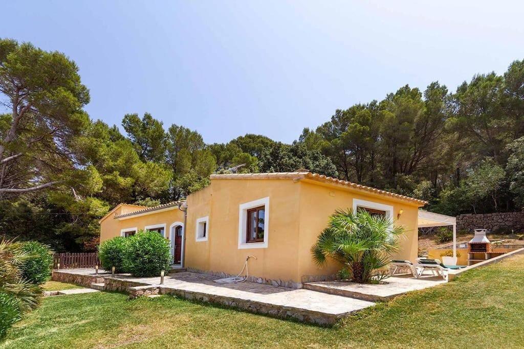 Alexandria Cala San Vicente 300m From The