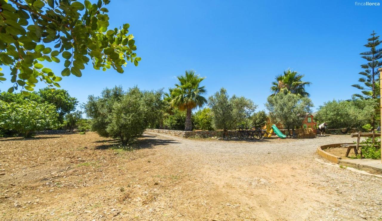 Ses Cames Roges Holiday home *