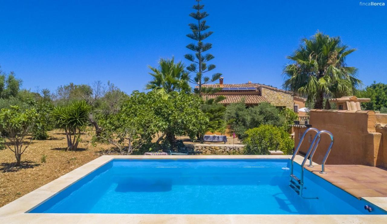 Holiday home Ses Cames Roges *