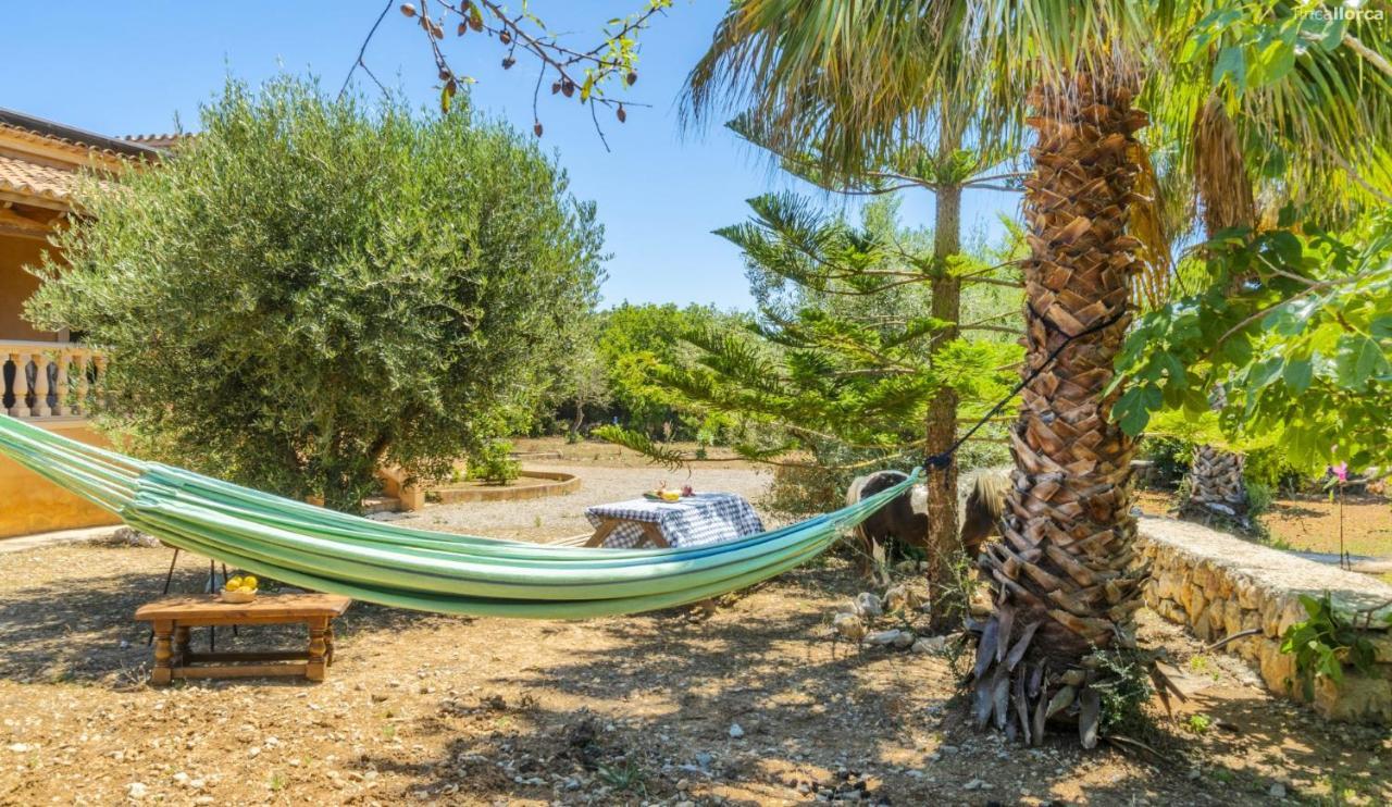 Holiday home Ses Cames Roges