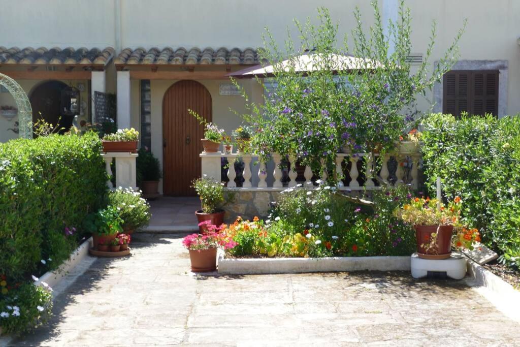 Casa Paraiso Сasa de vacaciones Sa Coma (Mallorca)