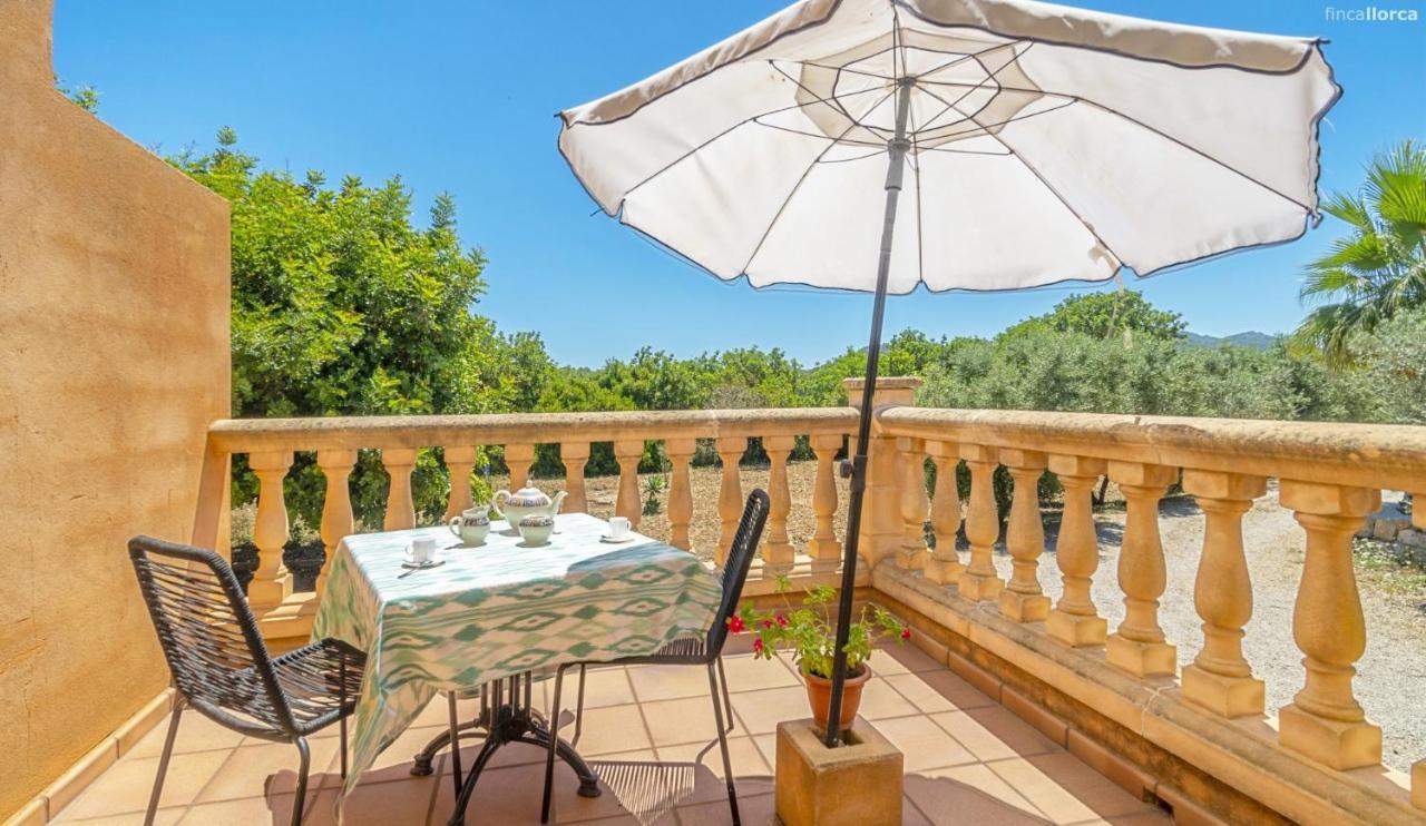 Ses Cames Roges Holiday home *