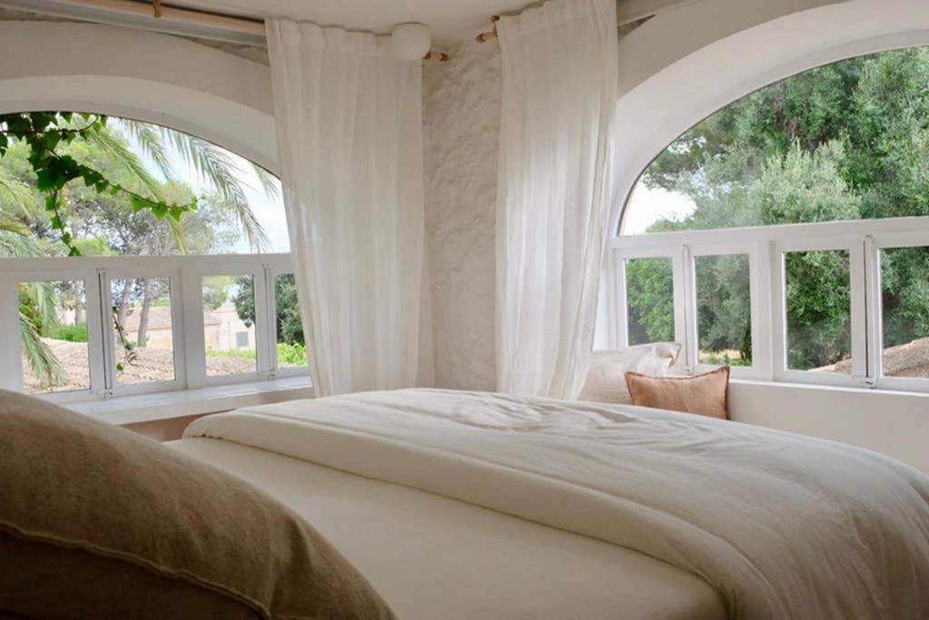 Casa Balandra: Experiential