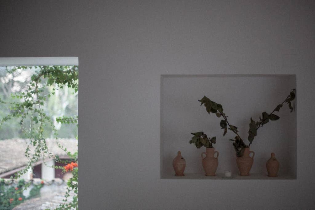 Villa Casa Balandra: Experiential *
