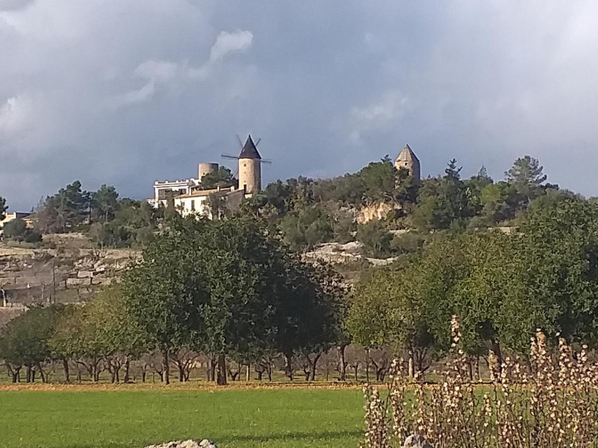 Beatrice Casa rural Sencelles