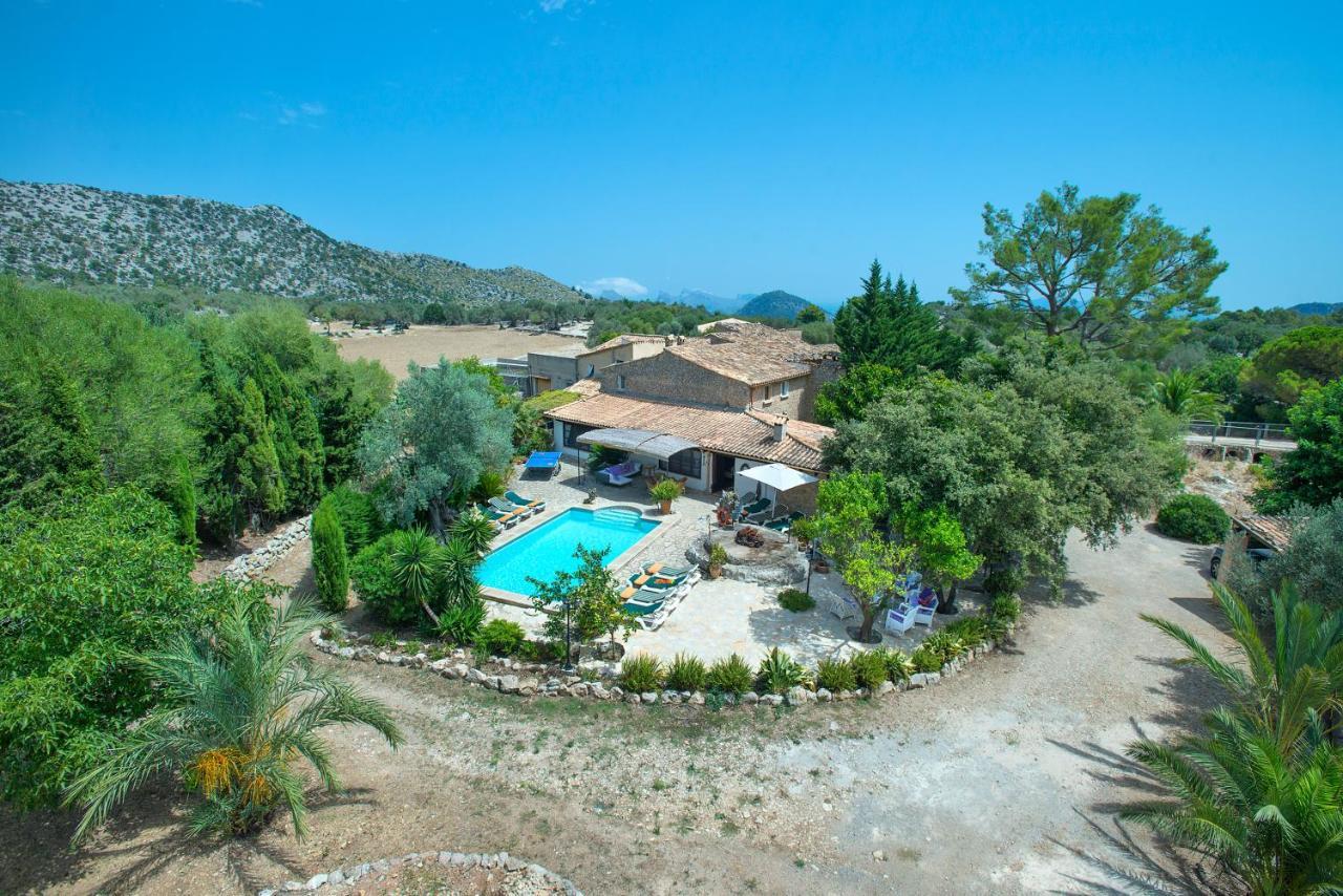 Owl Rafals - Wonder In The Midst Of Nature Pollensa