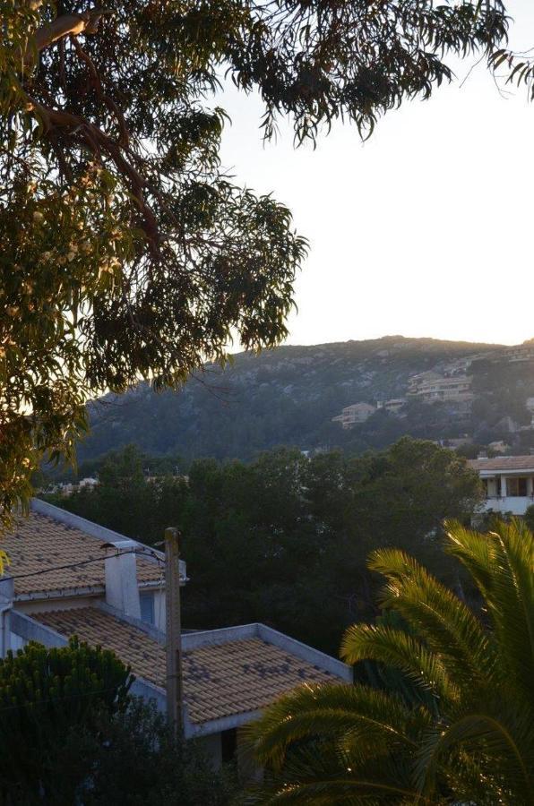 Tramuntana & Apartment *