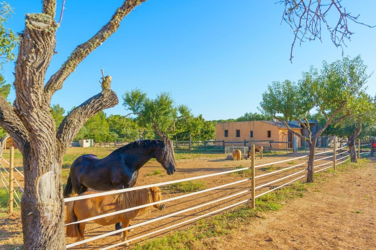 Agroturismo Saigo * Portocolom (Mallorca)