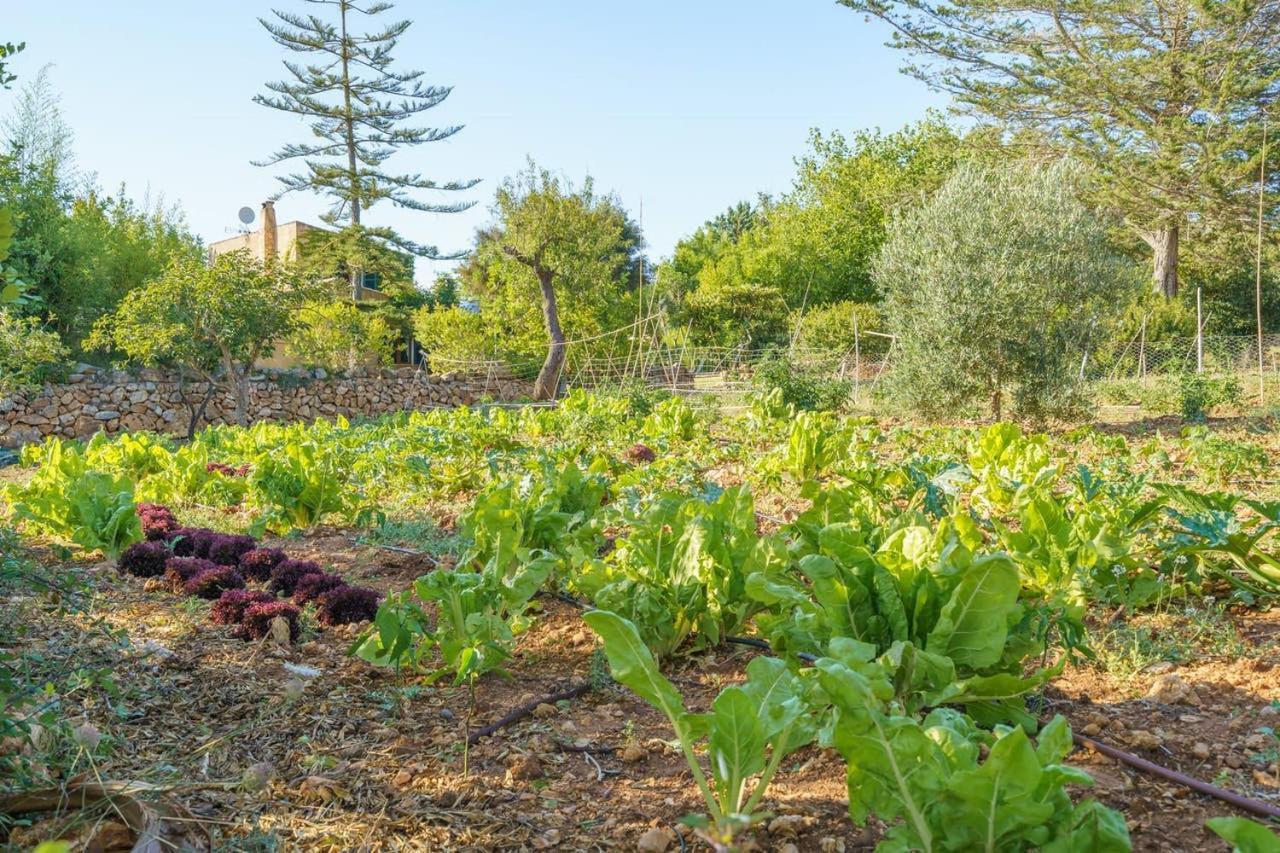 Country house Agroturismo Saigo *