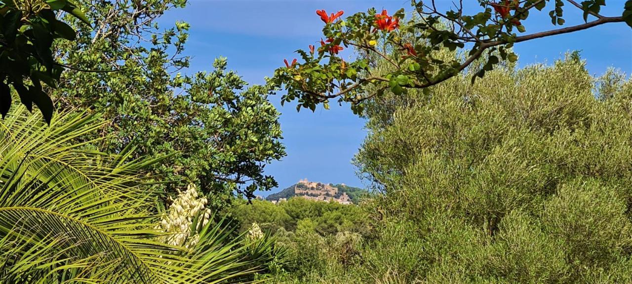 Villa Bona Sort Capdepera (Mallorca)