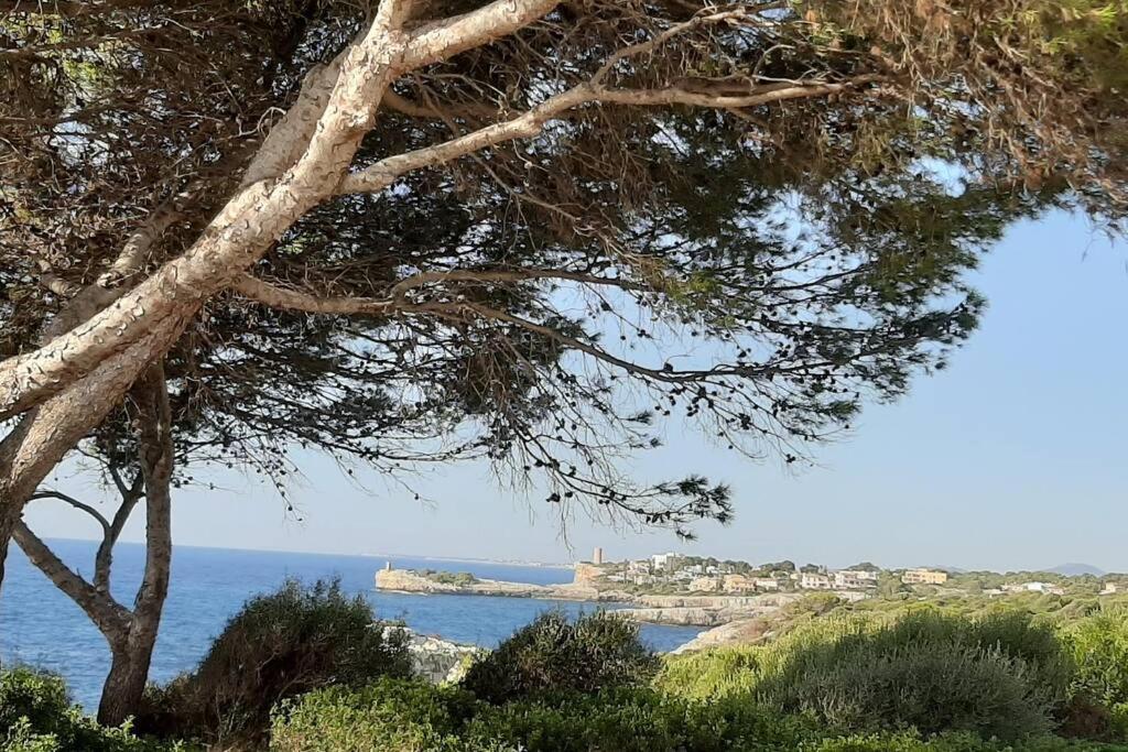 Au Port De *