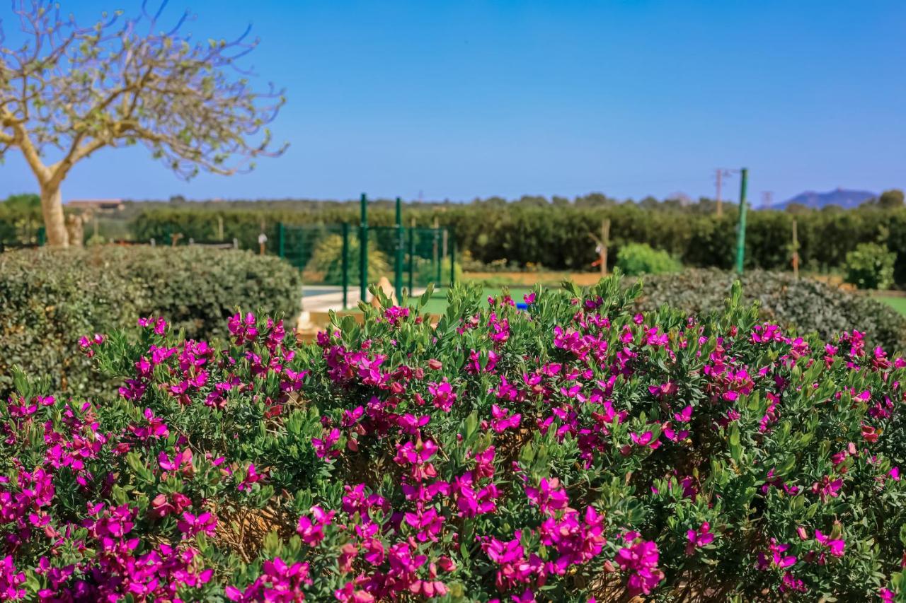 Family House Sa Vinya D'es Trenc * Campos (Mallorca)
