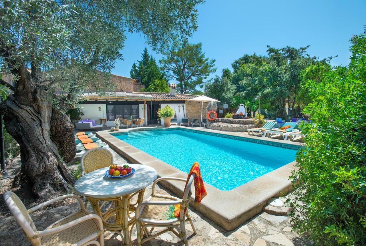 Villa Owl Rafals - Wonder In The Midst Of Nature