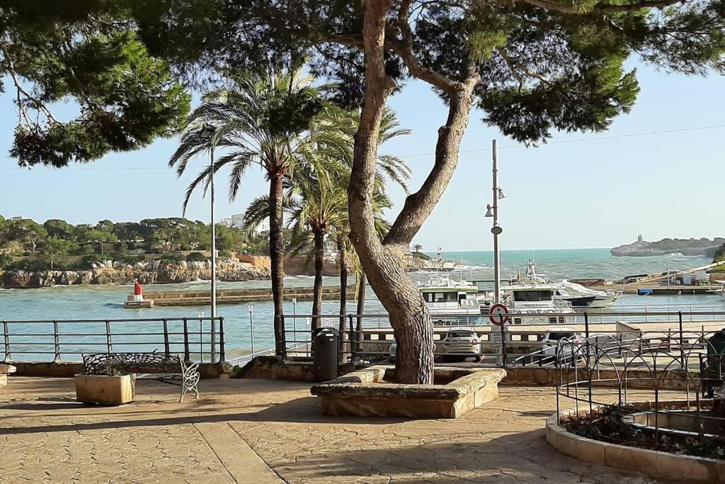Au Port De * Porto Cristo