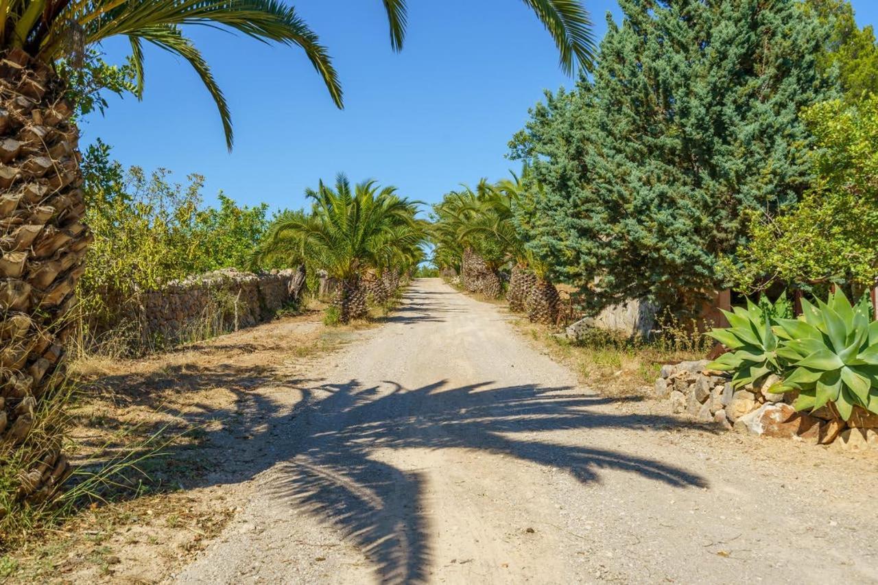 Agroturismo Saigo