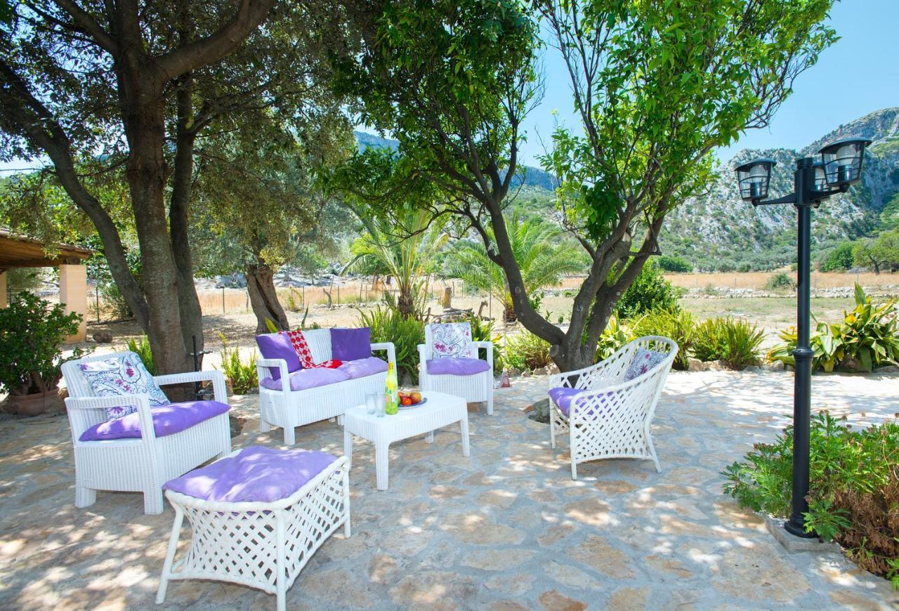 Owl Rafals - Wonder In The Midst Of Nature * Pollensa