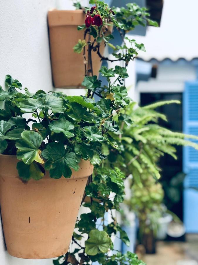 Ithaka Petit Holiday home Arta