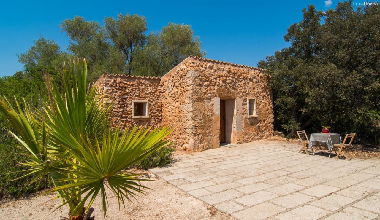 Sa Cantera Algaida (Mallorca)