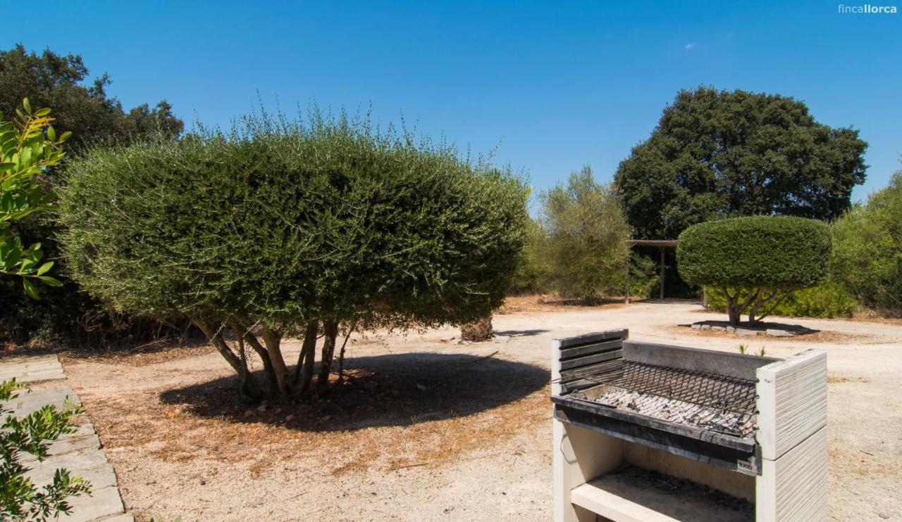 Sa Cantera Algaida (Mallorca)