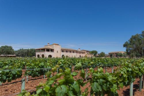 Hotel Finca Gomera By Itinerem - Adults Only 4*
