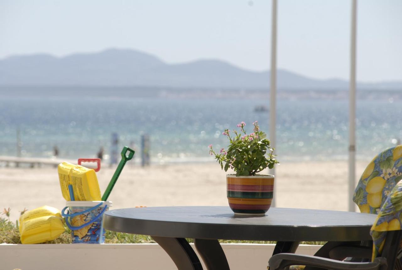 Oiza Lux At Alcudia *