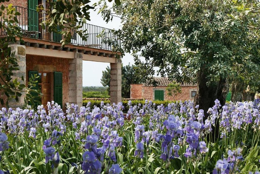 Casa rural Son Bernadinet