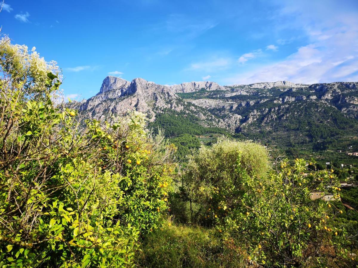 Ideal * Sóller