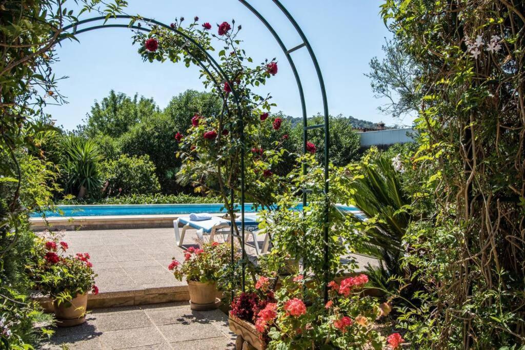 Between Old Town And Port By Renthousing Holiday home Pollenca